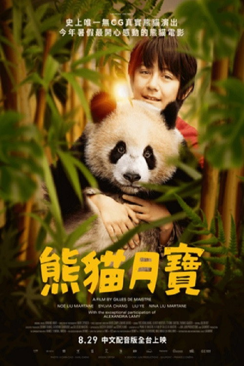 熊猫月亮电影海报