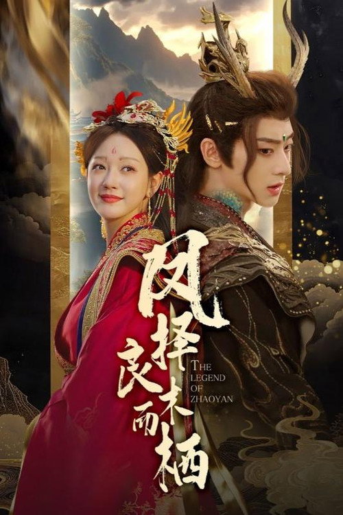 凤择良木而栖电影海报