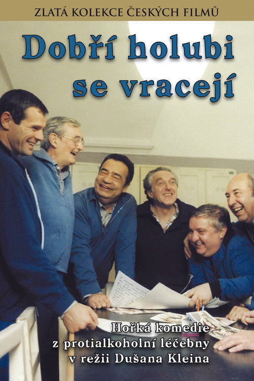 Dobří holubi se vracejí poster 2