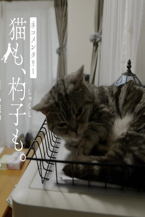 ネコメンタリー电影海报