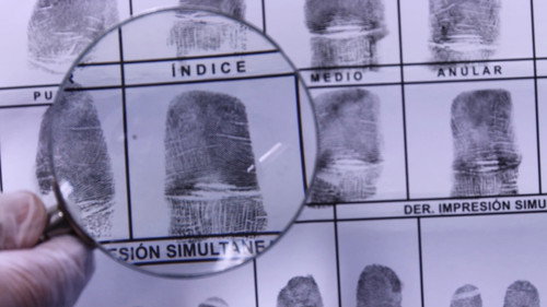 Backdrop