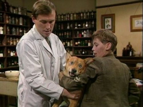 If Wishes Were Horses