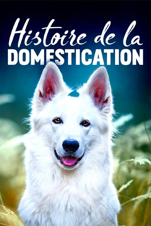 Die Geschichte von Mensch und Tier电影海报
