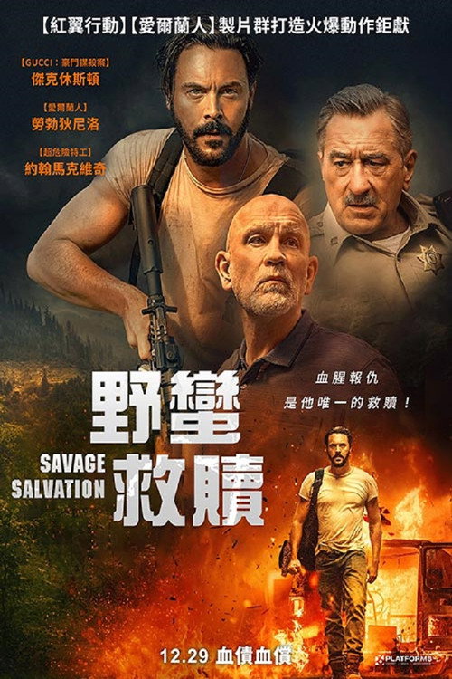 野蛮的救赎电影海报