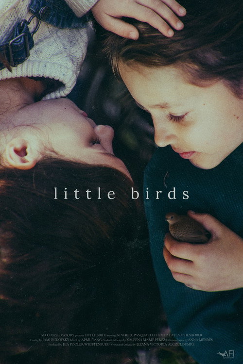 Little Birds Poster