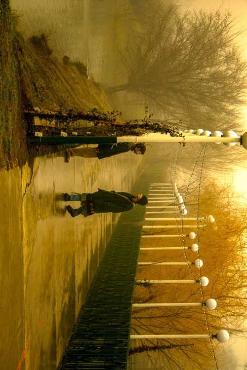 ბუზის მიზეზით电影海报