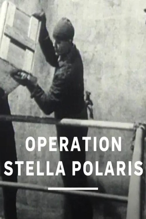 Operation Stella Polaris Poster
