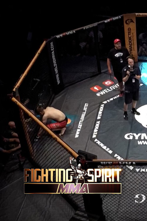 Fighting Spirit MMA电影海报