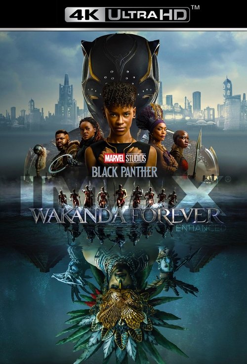 Black Panther Wakanda Forever