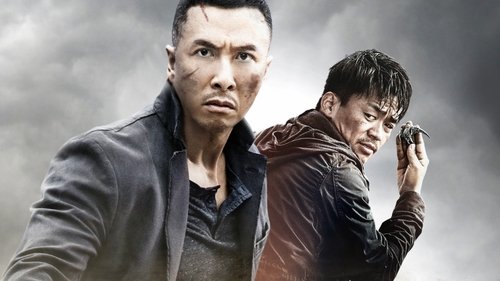 Kung Fu Jungle (2014)Bekijk volledige filmstreaming online