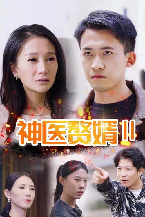 神医赘婿电影海报