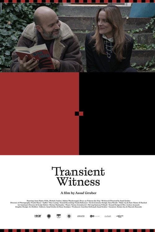 Transient Witness Poster