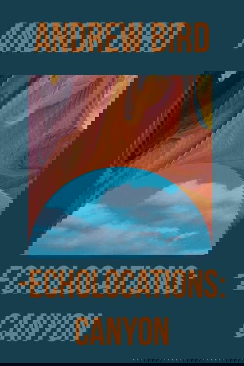 Echolocations: Canyon Poster