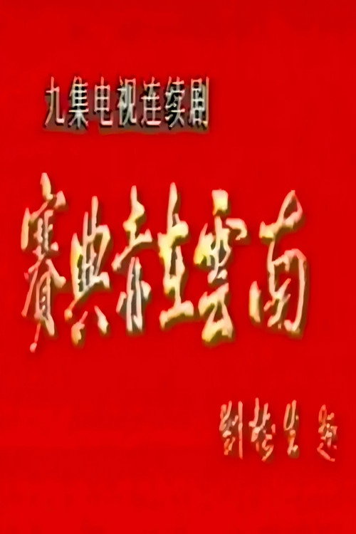 赛典赤在云南电影海报