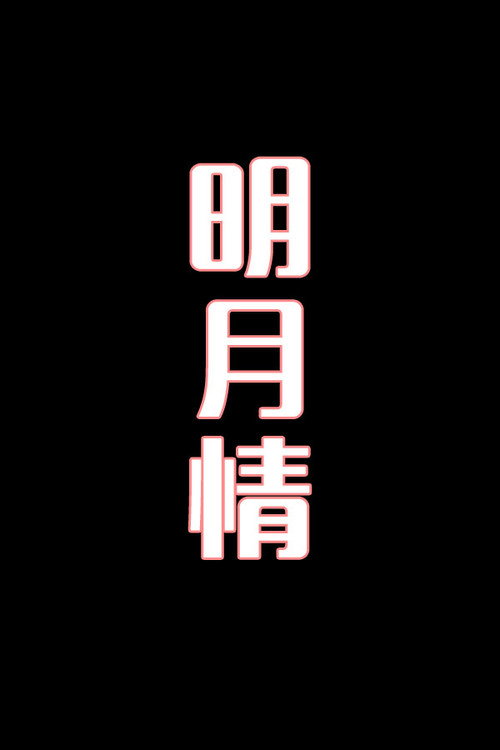 明月情-花鼓戏电影海报