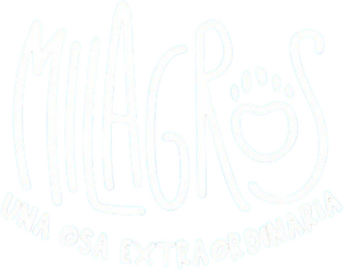 movies