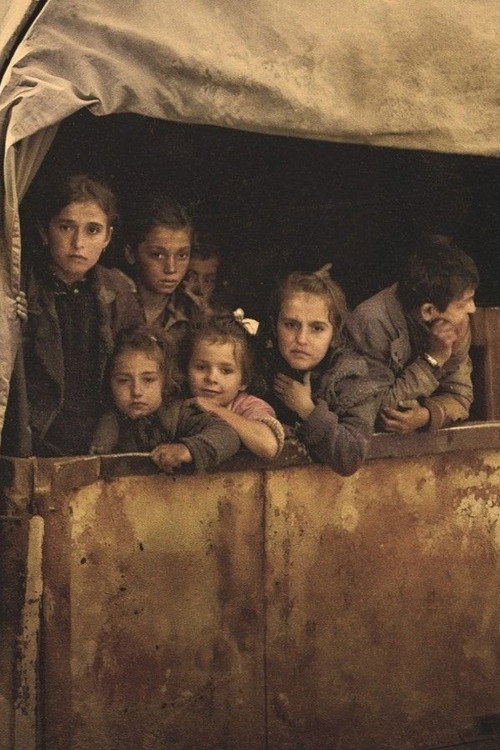 Orphans Of World War II电影海报