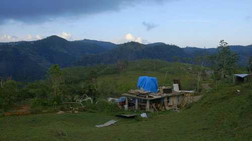 Backdrop