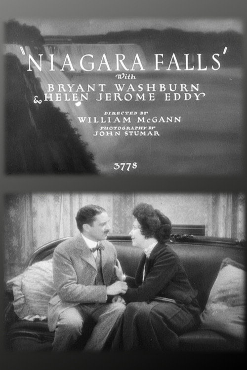 Niagara Falls Poster