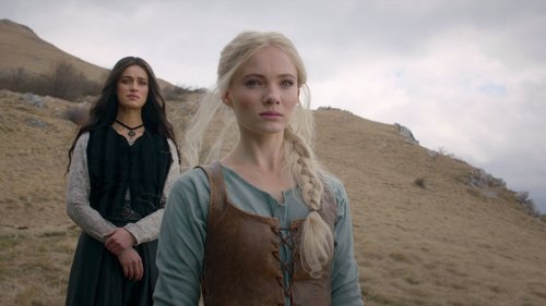 The Witcher - Shaerrawedd