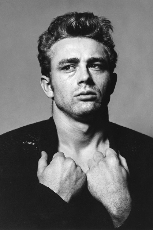 Final Days of an Icon: James Dean Poster