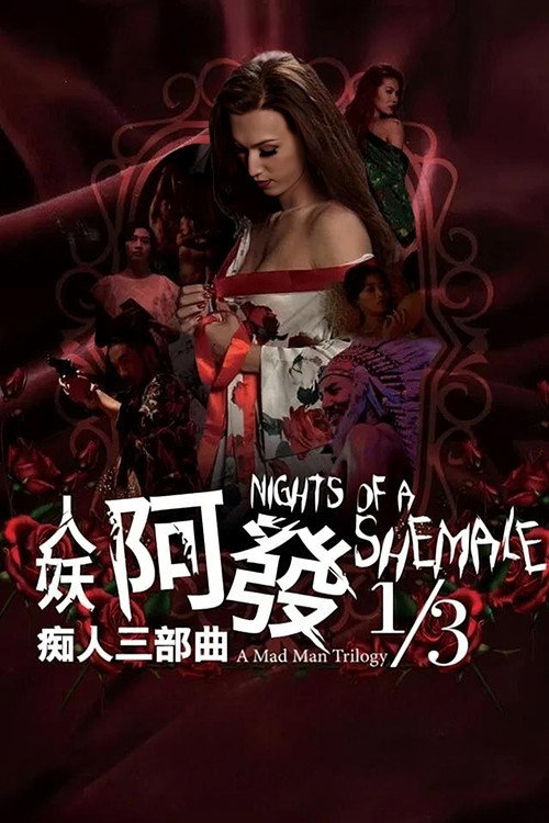 人妖阿发 痴人三部曲1/3电影海报