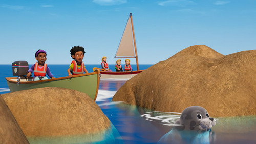 Seal Watch