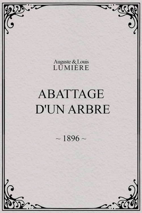 Abattage d'un arbre