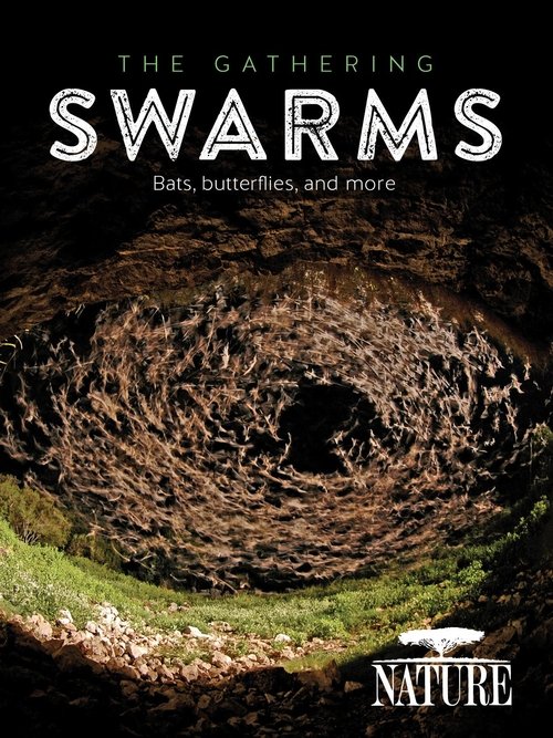 Nature: The Gathering Swarms