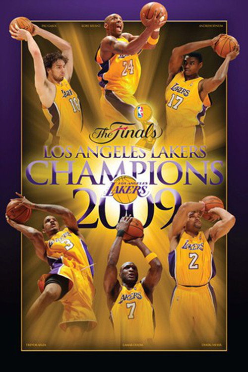 2009年NBA总决赛海报