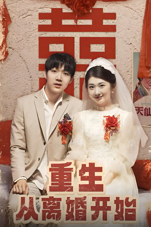 重生从离婚开始海报