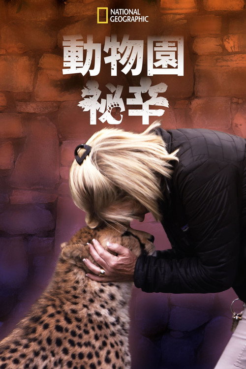 动物园秘辛电影海报