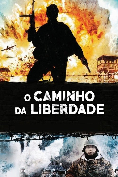 Nedodržaný sľub (2009) Filmes Completos Gratis