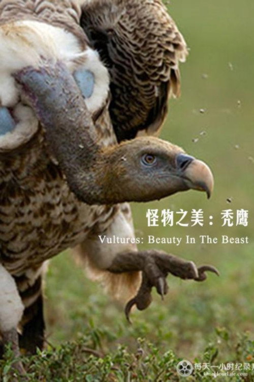 秃鹫：野兽之美电影海报