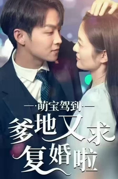萌宝驾到爹地又求复婚啦电影海报