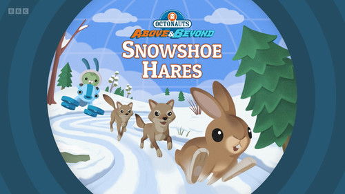 Snowshoe Hares