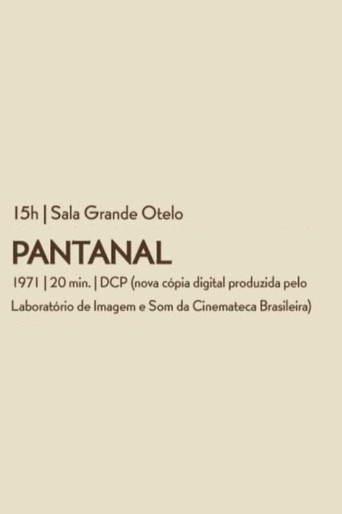 Pantanal电影海报