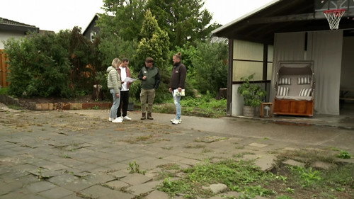 From concrete courtyard to dream garden