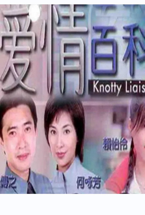 爱情百科电影海报