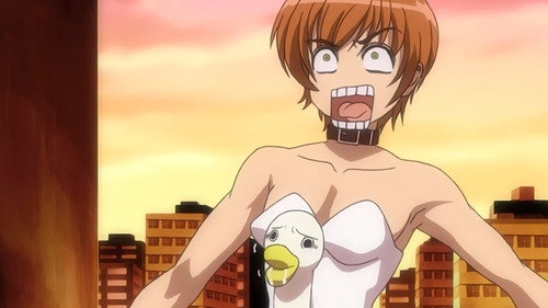 Episode 18