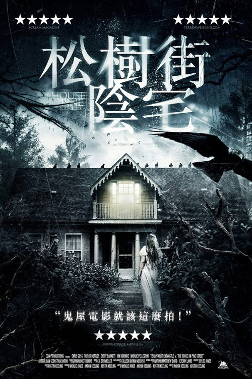 松树街的那幢房子电影海报
