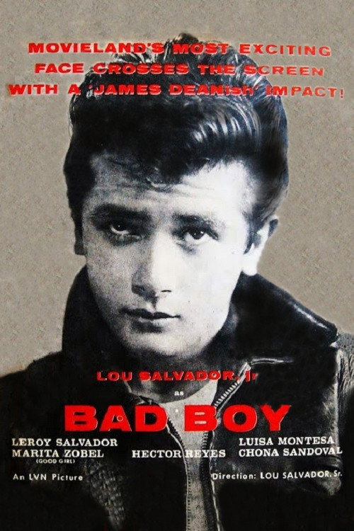 Bad Boy poster 3