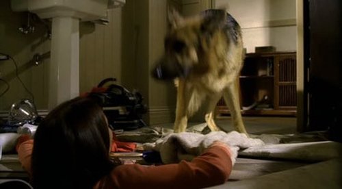 Desperate Housewives - 8. Bölüm