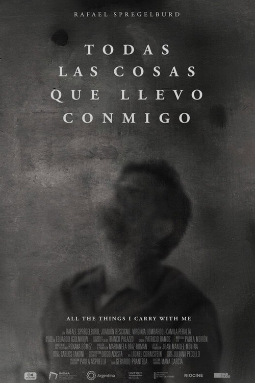 Todas las cosas que llevo conmigo poster 2