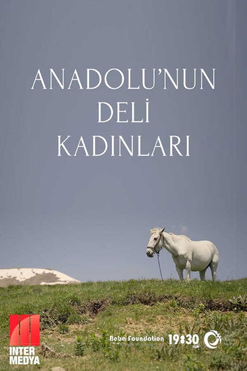 Anadolu'nun Deli Kadınları电影海报