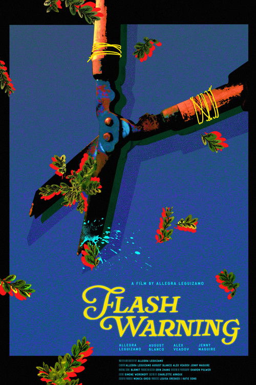 Flash Warning Poster