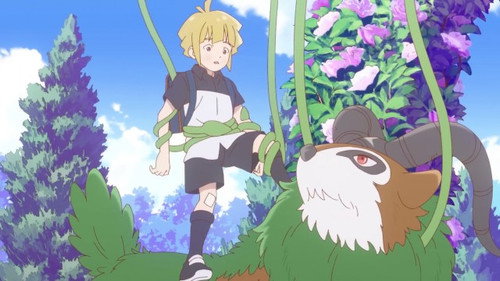 My Gogoat Journey