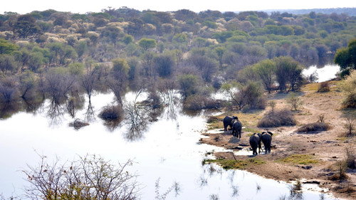 Episode 10