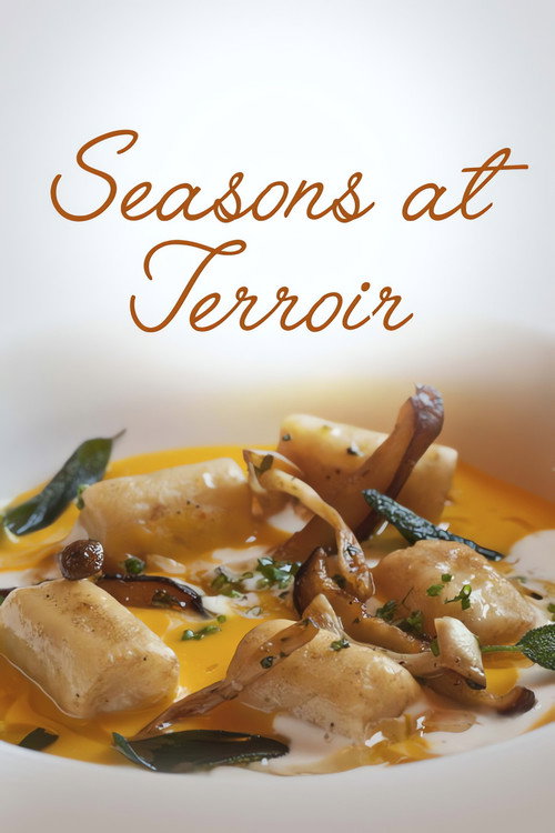 Seasons at Terroir电影海报
