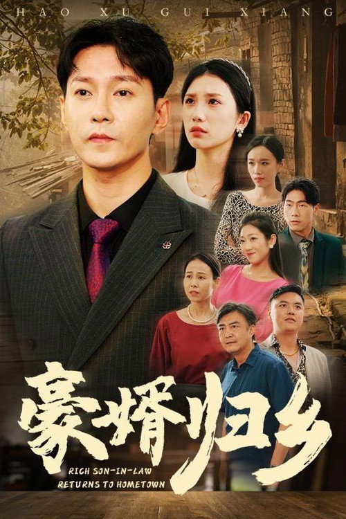 豪婿归乡电影海报